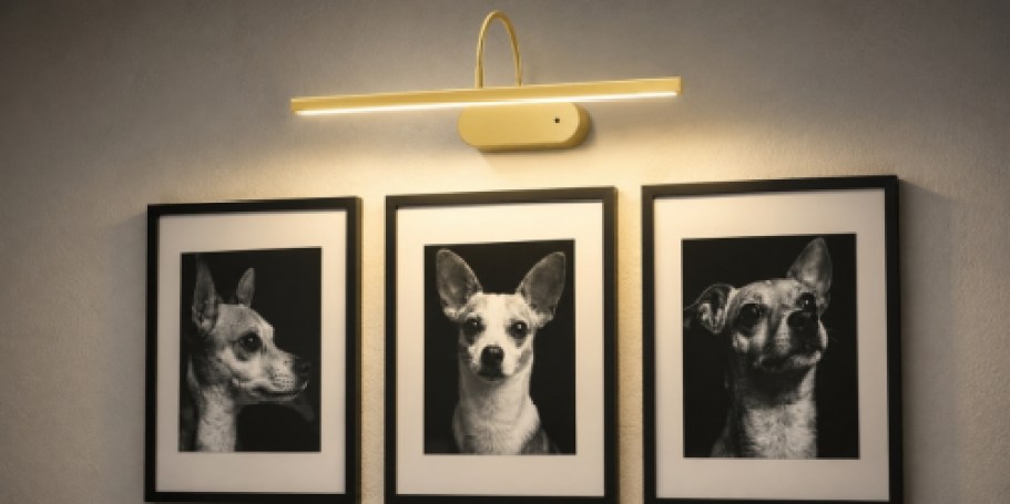 Wireless Picture Light w/ Remote Control Just $13.99 on Amazon (Reg. $30)
