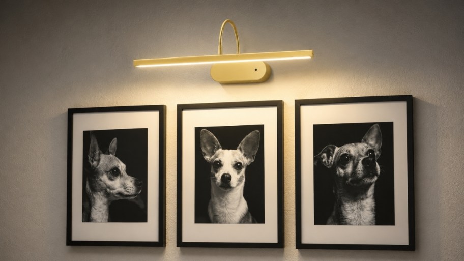 a gold rechargeabe picture light over three framed prints
