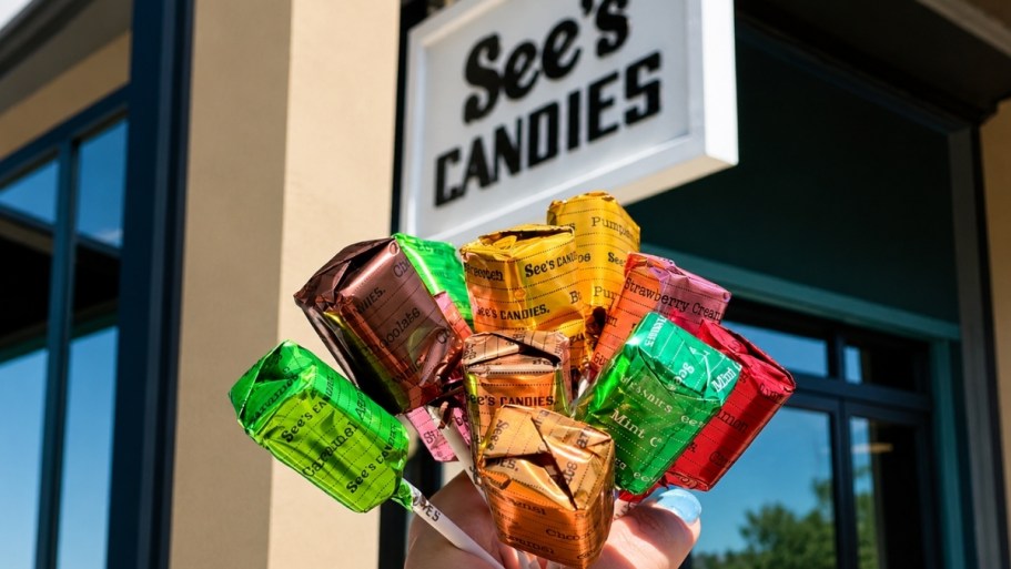 FREE See’s Candies Lollypop on July 20th | No Purchase Necessary!