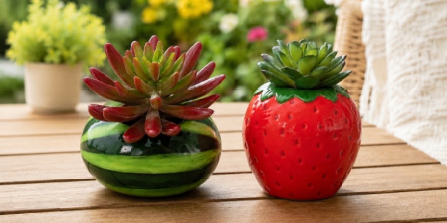 Kohl’s Summer Tabletop Decor, Cups & More from $3