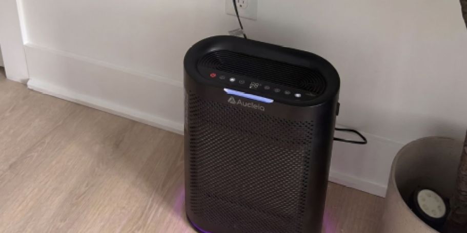 HEPA Pet Air Purifier Just $45.42 Shipped on Amazon (Reg. $100)