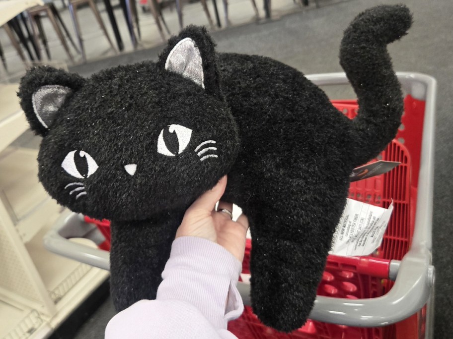 hand holding a black cat throw pillow in store
