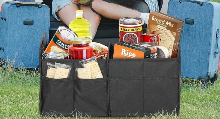 Car storage on the grass with food items inside