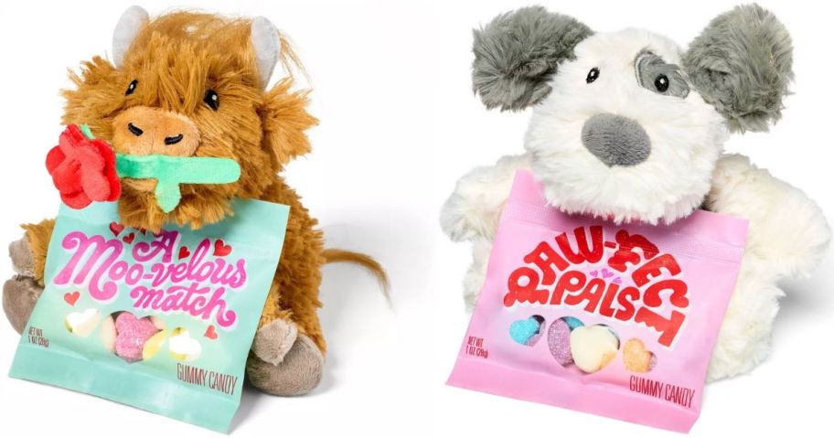 Stock images of two Favorite Day Valentine's Plush with a small bag of Favorite Day candy