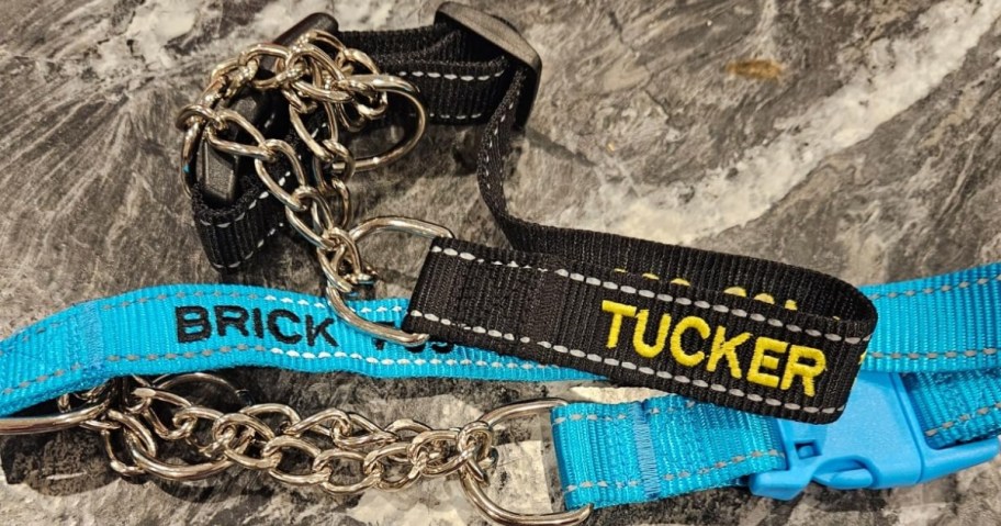 two personalized dog collars with chain closures