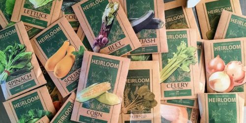 Heirloom Fruit & Vegetable Seeds + Herb Starter Kit Just $24.99 Shipped on Amazon (Reg. $65)