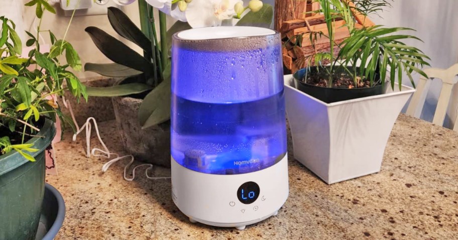 humidifier with a blue light near plants