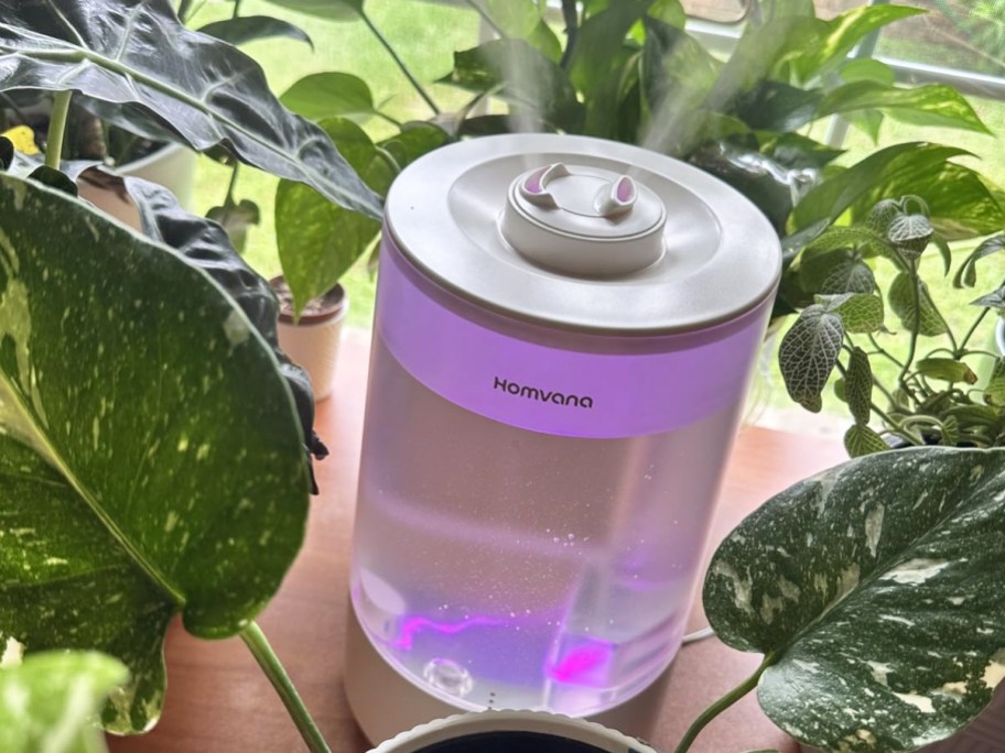 humidifier surrounded by plants