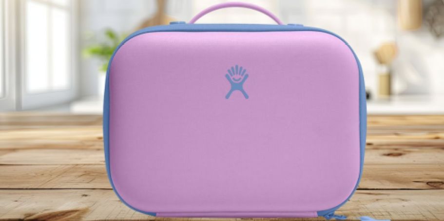 Hydro Flask Kids Insulated Lunch Box Only $10.49 on Target.com (Reg. $20)