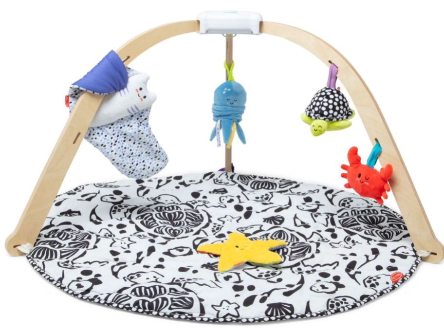 Melissa and Doug Ocean Easy-Fold Wooden Play Gym