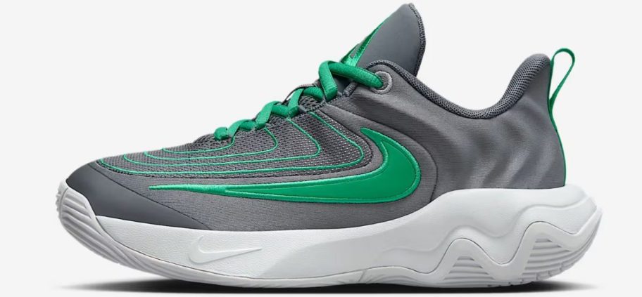 Stock image of a Giannis Immortality 4 Big Kids Basketball Shoe