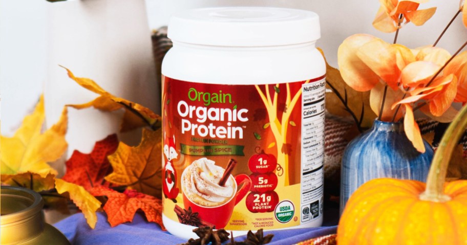 container of orgain pumpkin spice protein power near pumpkins