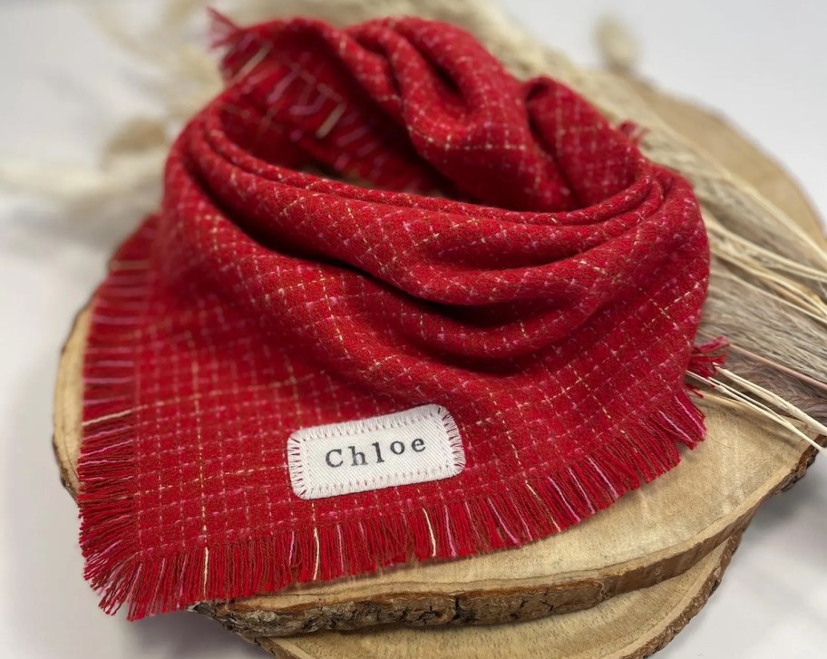 red personalized pet bandana on wood 