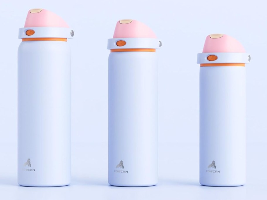 Paucan Insulated Water Bottle