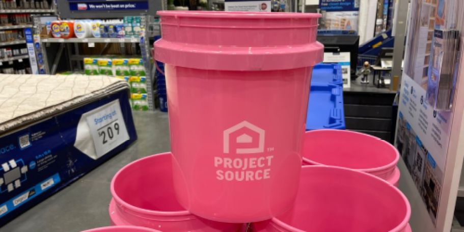 TWO Lowe’s Pink 5-Gallon Buckets Just $7 Delivered (Only $3.50 Each!)