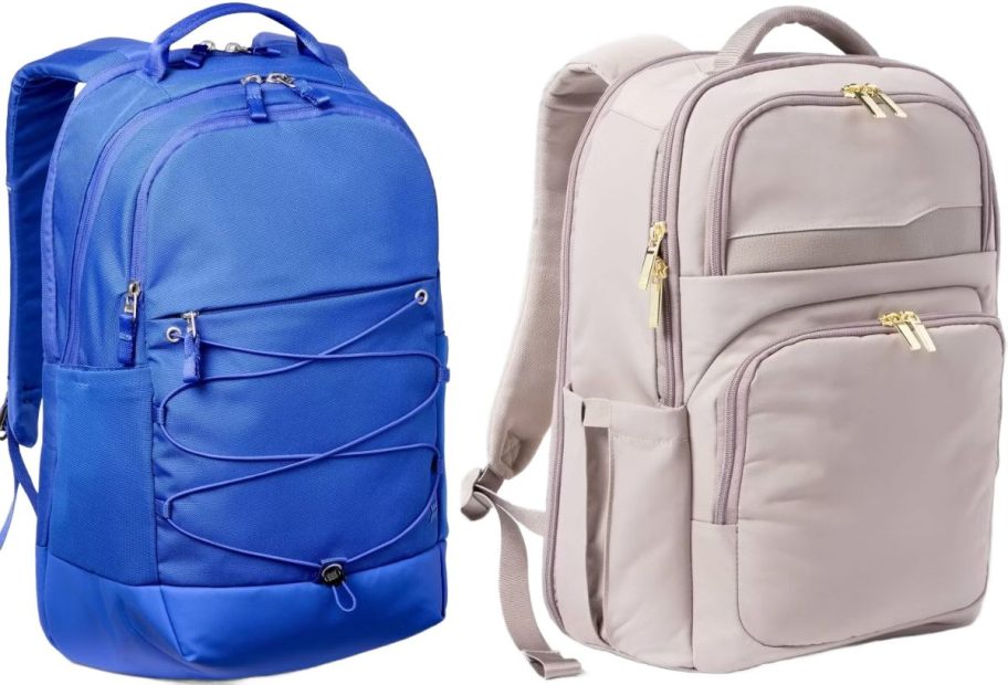 Stock images of two Target backpacks