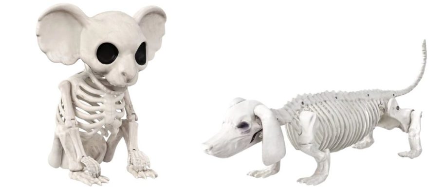 skeleton koala and dachshund decor