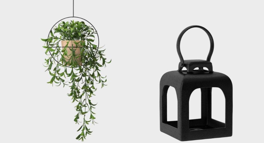 Hanging plant and black lamp