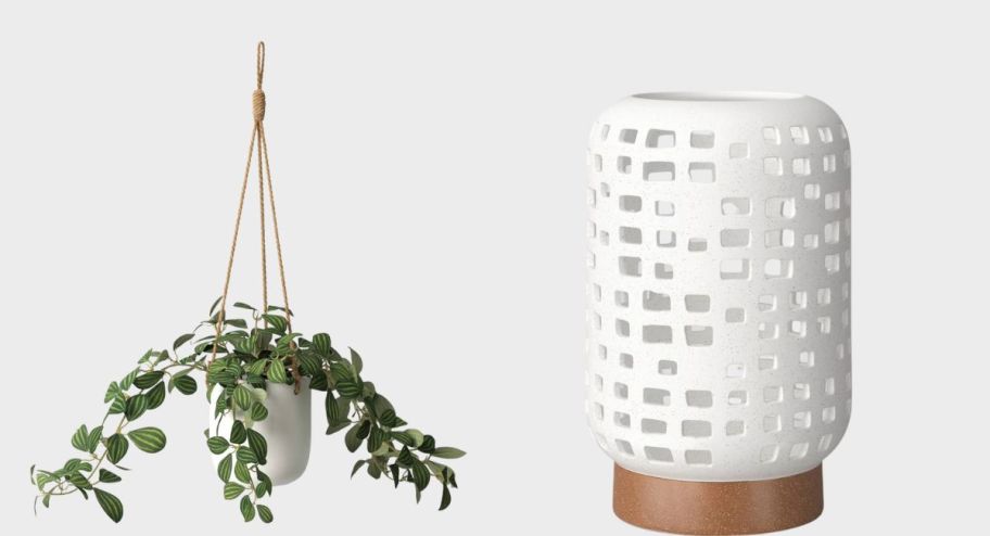 Target hanging plant and lantern