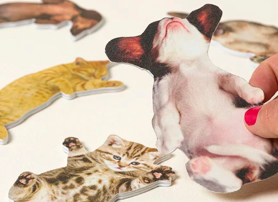 Hand holding a dog nail file 