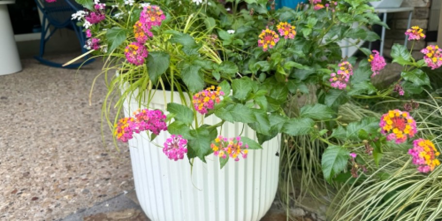 Better Homes & Gardens Large Outdoor Planter Just $14.88 on Walmart.com (Regularly $30)