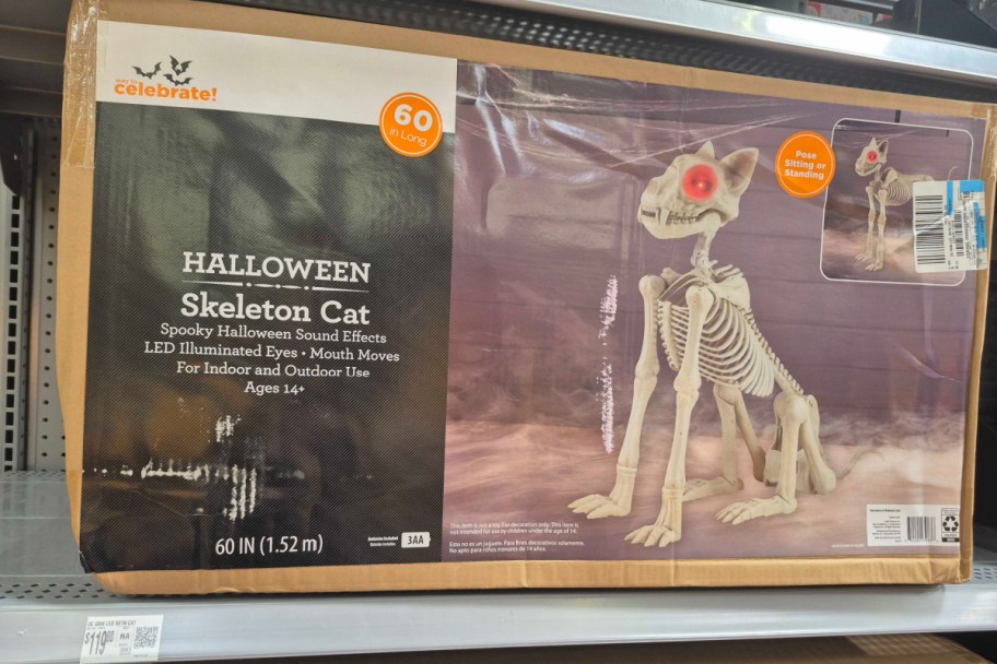 Halloween skeleton cat decor box on store shelf