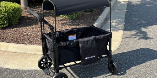 Price Drop: Wonderfold Stroller Wagon Just $174.98 Shipped (Reg. $290)