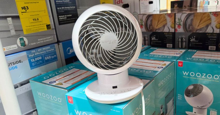 Woozoo 5-Speed Fan Only $26.99 at Costco (Includes Remote!)