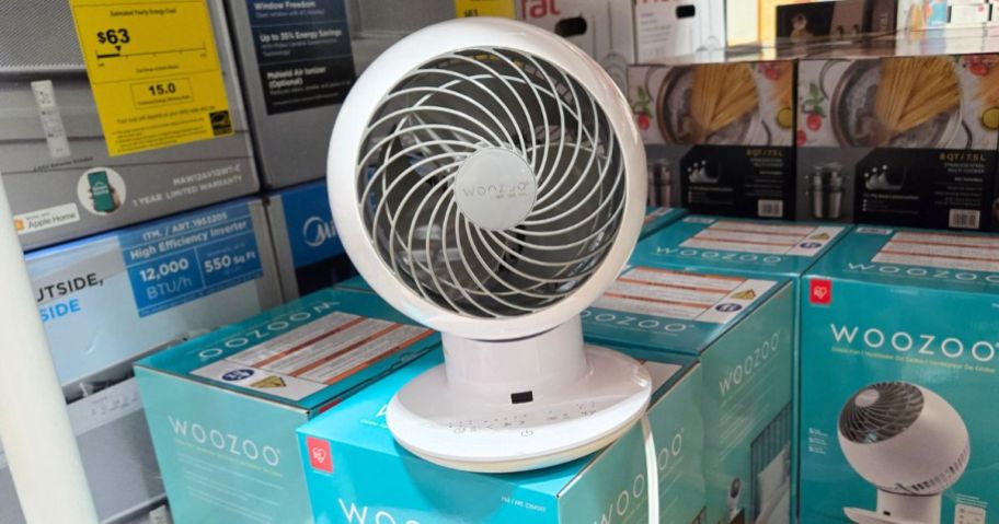 Woozoo 5-Speed Globe Fan in store