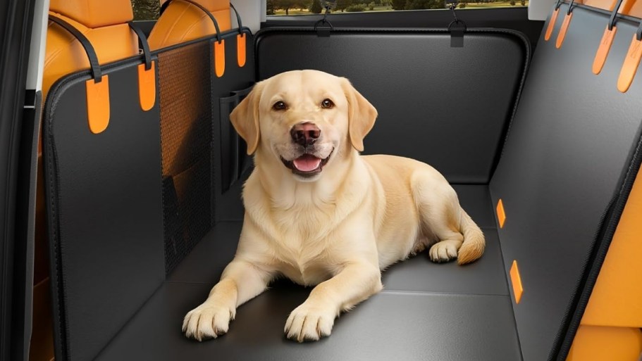 Pet Backseat Cover & Extender w/ Hard Bottom Just $27.99 Shipped on Amazon (Reg. $70)
