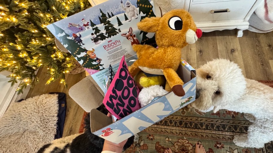 hand holding bark box in front of christmas tree with dogs sniffing it