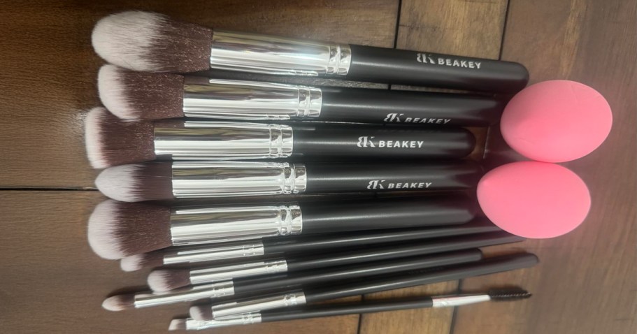 Makeup Brush 12-Piece Set Only $6 on Amazon (Reg. $13)