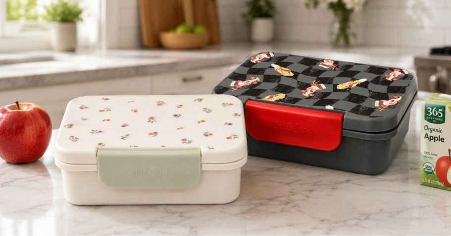 NEW Cat & Jack Bento Boxes from $3 at Target