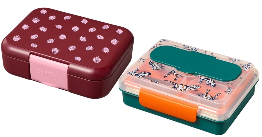 two bento boxes in different styles