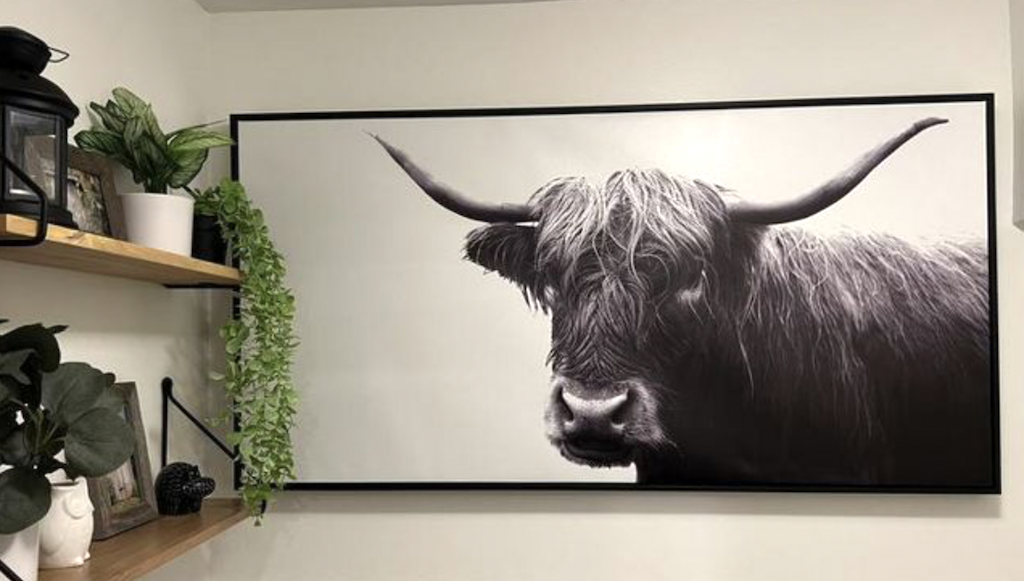 Cow art print