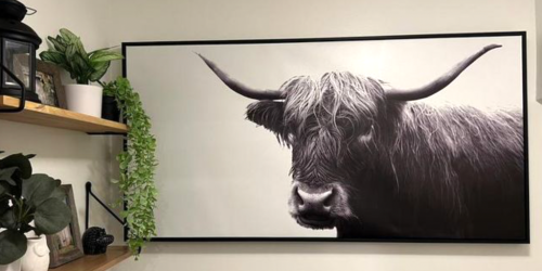 Get 50% Off Threshold Home Decor on Target.com