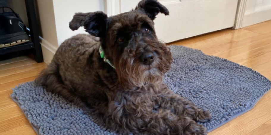 Chenille Dog Door Mat Just $4.99 on Amazon (Reg. $15) – Keeps Mud Out!