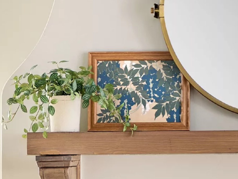 Wooden mantel with a trailing plant in a white pot, a framed leafy artwork in blues and greens, and a round mirror partially visible.