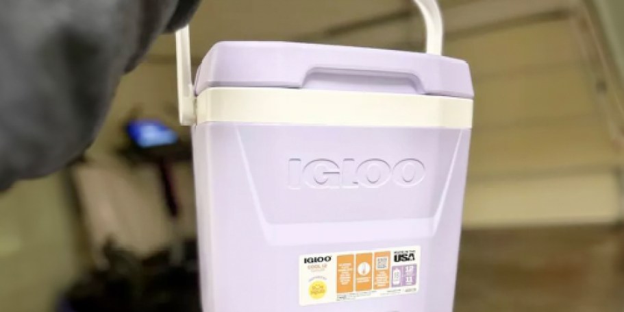 GO! Igloo Coolers from $13.99 on Target.com