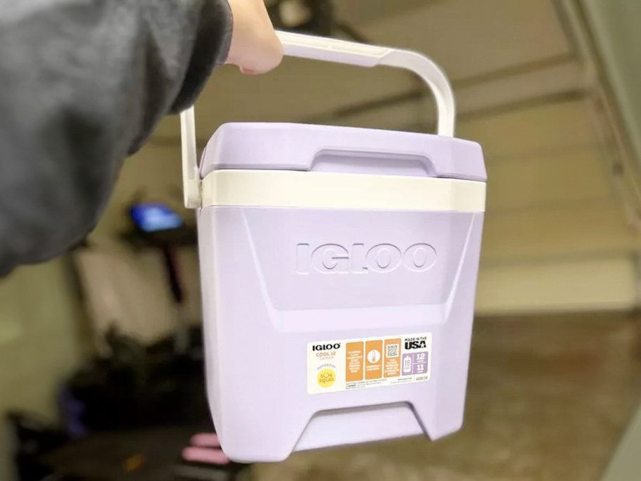 Get 40% Off Igloo Coolers at Target | Prices from $11.99!