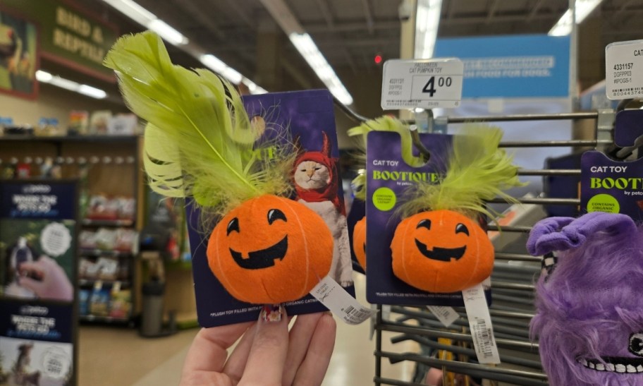 a womans hand holding a jack o lantern cat toy with green feather stem