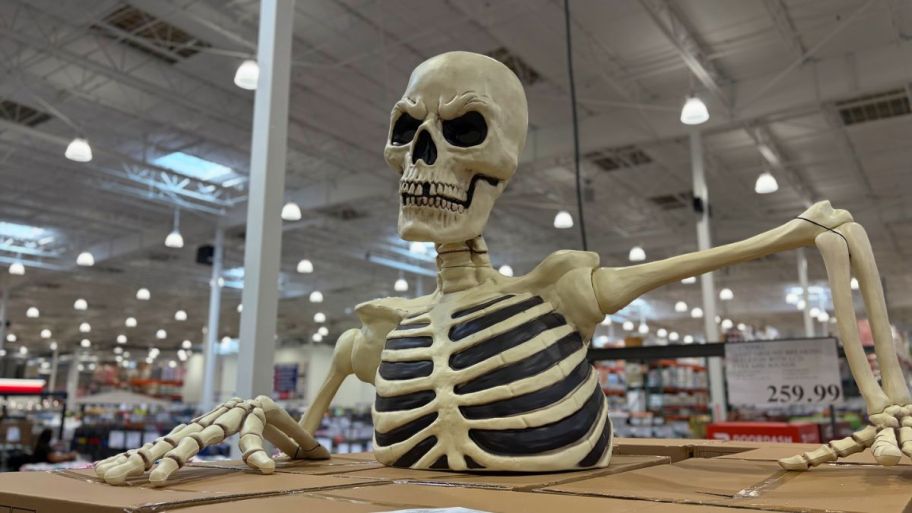 large skeleton at costco