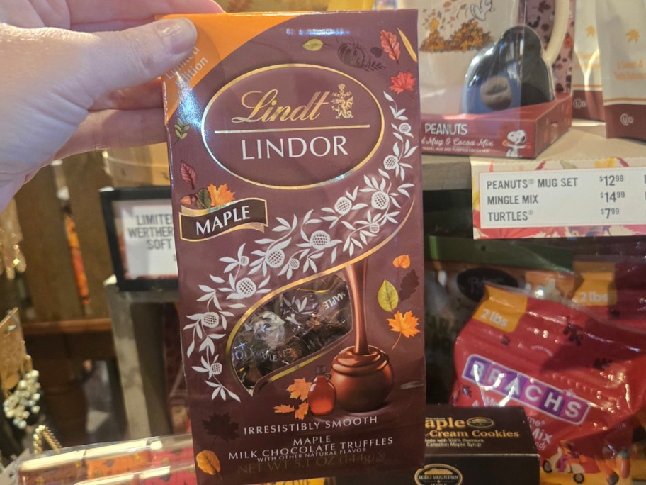 hand holding lindt chocolate bag 