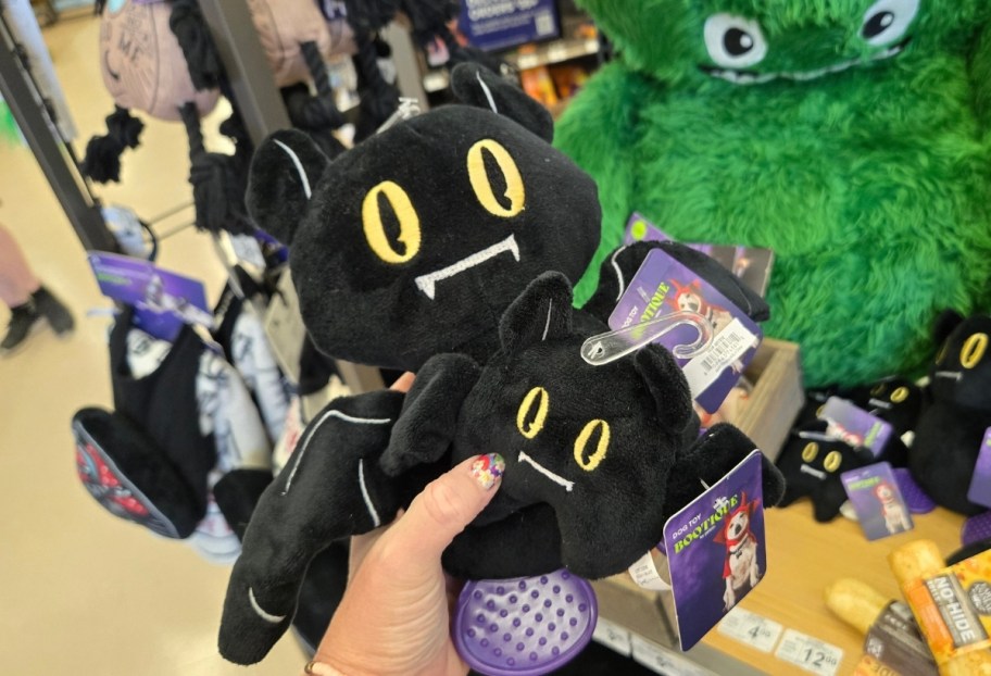 a womans hand holding vampire bat plush cat toys