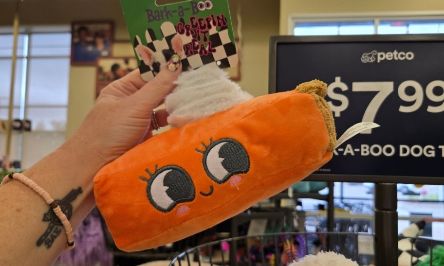 a womans hand holding a plush slice of pumpkin pie dog toy