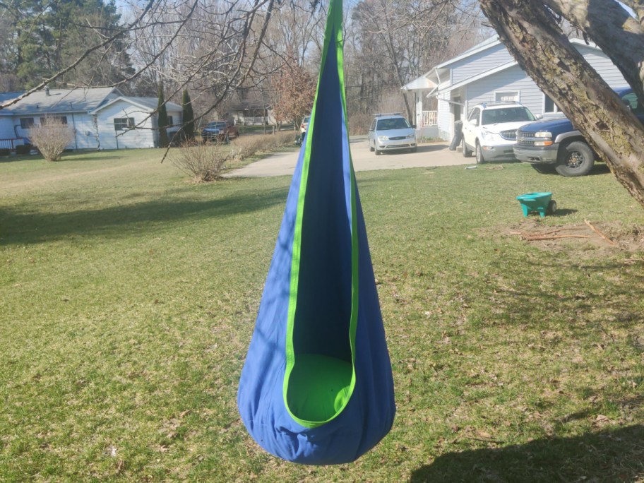 blue and green pod swing hanging from a tree