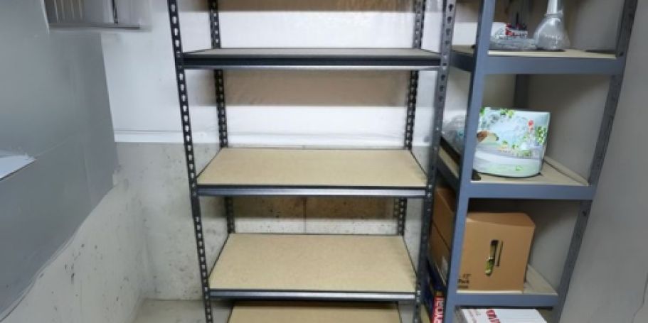 5-Tier Metal Storage Shelf Only $44 Shipped on Walmart.com
