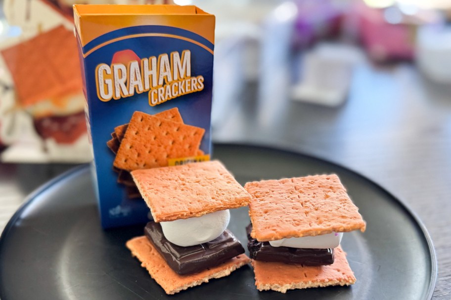 two pretend smores on plate