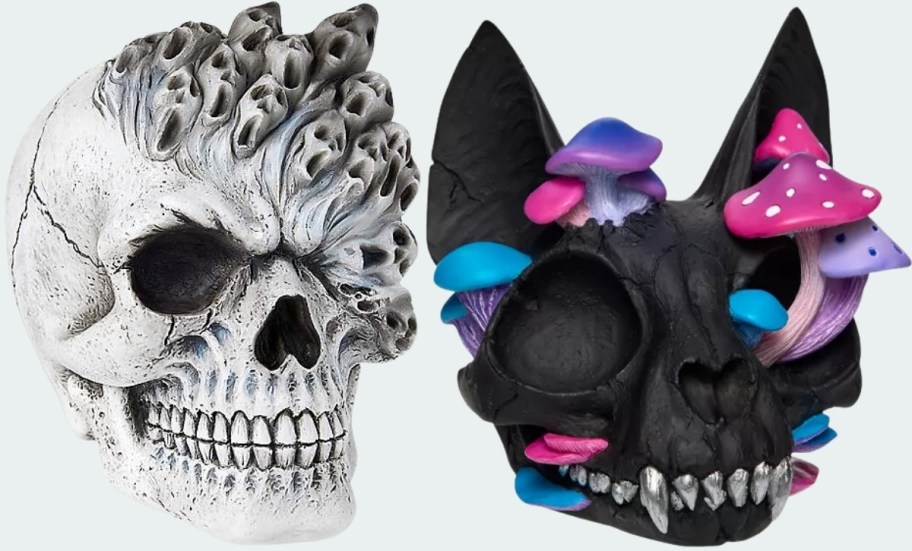 skull and cat statue indoor decor