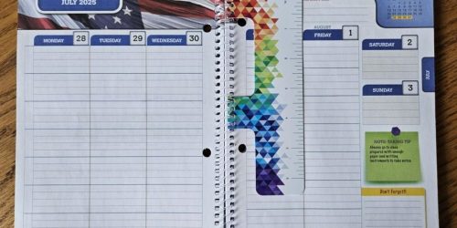 WOW! FREE Student Planner ($12.99 Value!) – Just Buy 25¢ School Supply at Staples!